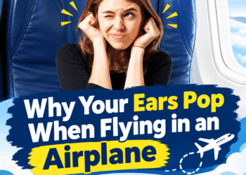 Why airplane windows have tiny holes?