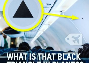 The Secret Behind Those Little Triangle Stickers in Your Airplane Cabin
