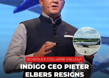 India’s IndiGo airline CEO resigns months after mass cancellation crisis